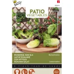 Outlet Buzzy Romeinse Mini Sla Mix