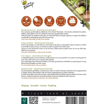 Outlet Buzzy Romeinse Mini Sla Mix