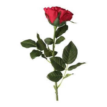 Discount Roos Op Steel Rood 71 Cm