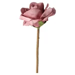 Best O'malley Rose Foam Pink 90 Cm