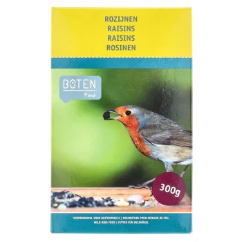 Online Bûten Food Rozijnen 300gr