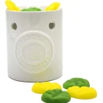 scentchips-citronella-brander-hMBgIqfr-0.webp