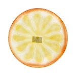 schaal-citrus-30-cm-DgVpweHG-0.webp