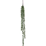 Hot Mica Decorations Senecio Hangend 71 Cm Groen