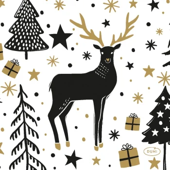 Best Duni Servet 24 X 24 Cm Magic Winter