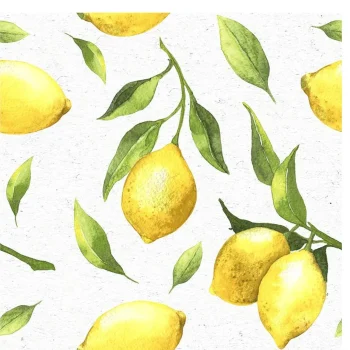 Discount Duni Servet 33 X 33 Cm Citroen 20st.