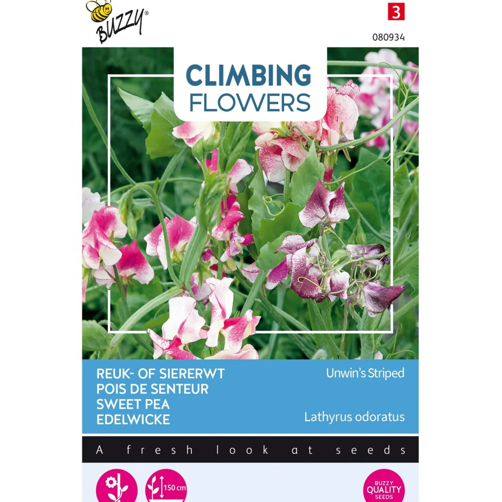 siererwt-unwin-striped-JFtocByR-0.webp Best Buzzy Siererwt Unwin Striped