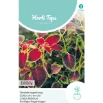 Clearance Horti Tops Siernetel Regenboog Mix