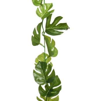 Sale Everlands Slinger Monstera 180 Cm