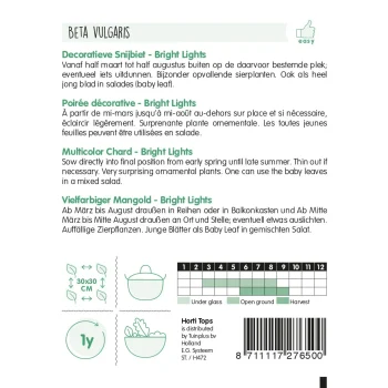 Clearance Horti Tops Snijbiet Bright Lights Regenboog