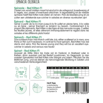 Hot Horti Tops Spinazie Red Kitten F1