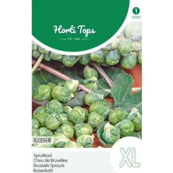 Sale Horti Tops Spruitkool Roodnerf