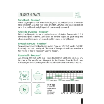 Sale Horti Tops Spruitkool Roodnerf