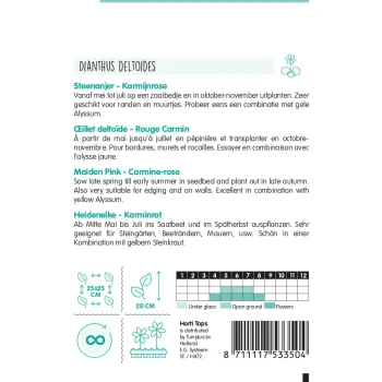 Online Horti Tops Steenanjer Karmijnrose