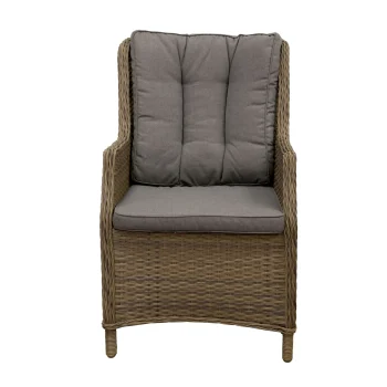 Best Bois Le Duc Stoel Carano Mix Grijs Met Kussen