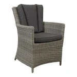 Clearance Bois Le Duc Stoel Sauro Willow Grey Met Kussen