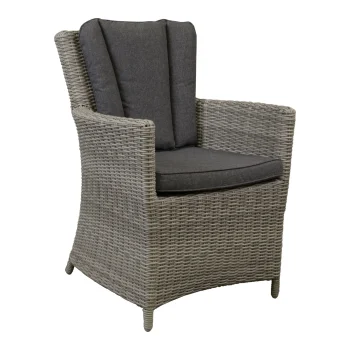 Clearance Bois Le Duc Stoel Sauro Willow Grey Met Kussen