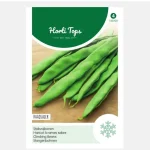 Discount Horti Tops Stoksnijbonen Veense Raadsheer Zaad
