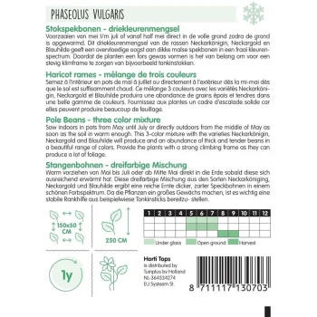 Sale Horti Tops Stokspekbonenmengsel Zaad 3 Kleuren