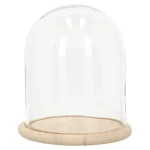 Best Stolp Glas Nature 23 X 27 Cm