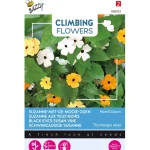 Fashion Buzzy Suzanne-met-de-mooie-ogen Mix