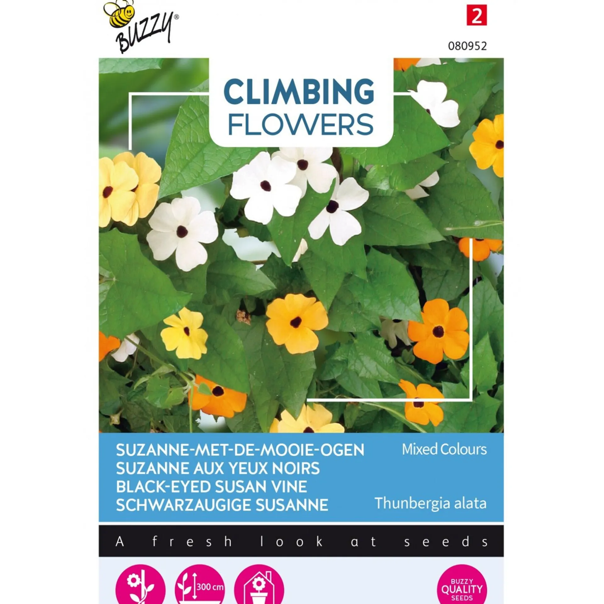 suzanne-met-de-mooie-ogen-mix-XvLxPRGQ-0.webp Fashion Buzzy Suzanne-met-de-mooie-ogen Mix