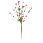 Best Tak Bloemen Aleide Fuchsia