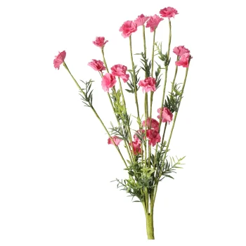 Best Tak Bloemen Aleide Fuchsia