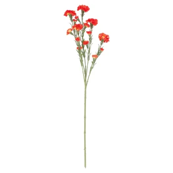 Best O'malley Tak Carnation Oranje 68 Cm