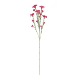 Discount O'malley Tak Carnation Roze 68 Cm