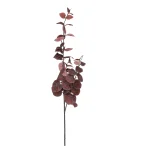 Outlet O'malley Tak Eucalyptus Rood 100 Cm
