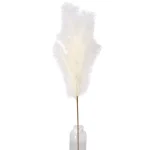 Clearance O'malley Tak Gras 110 Cm Crème