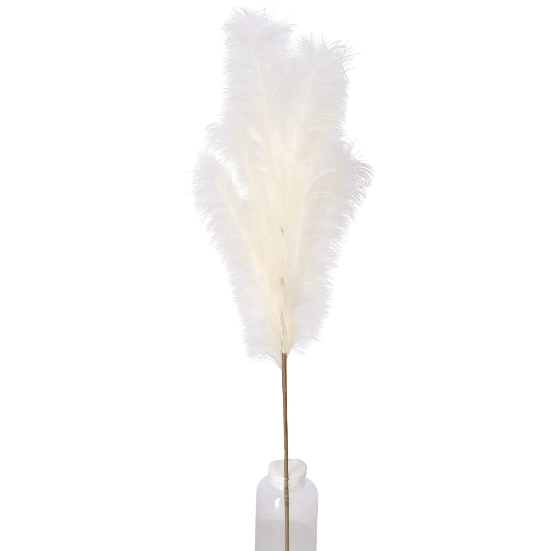 tak-gras-110-cm-crme-zKRShpoR-0.webp Clearance O'malley Tak Gras 110 Cm Crème