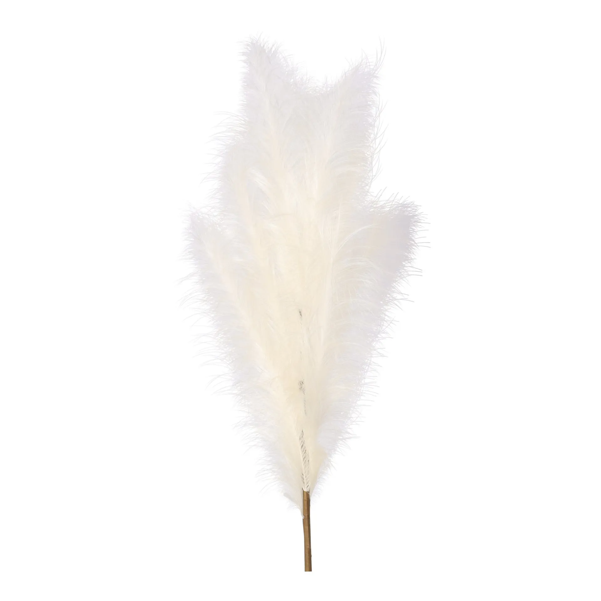 tak-gras-110-cm-crme-zKRShpoR-1.webp Clearance O'malley Tak Gras 110 Cm Crème