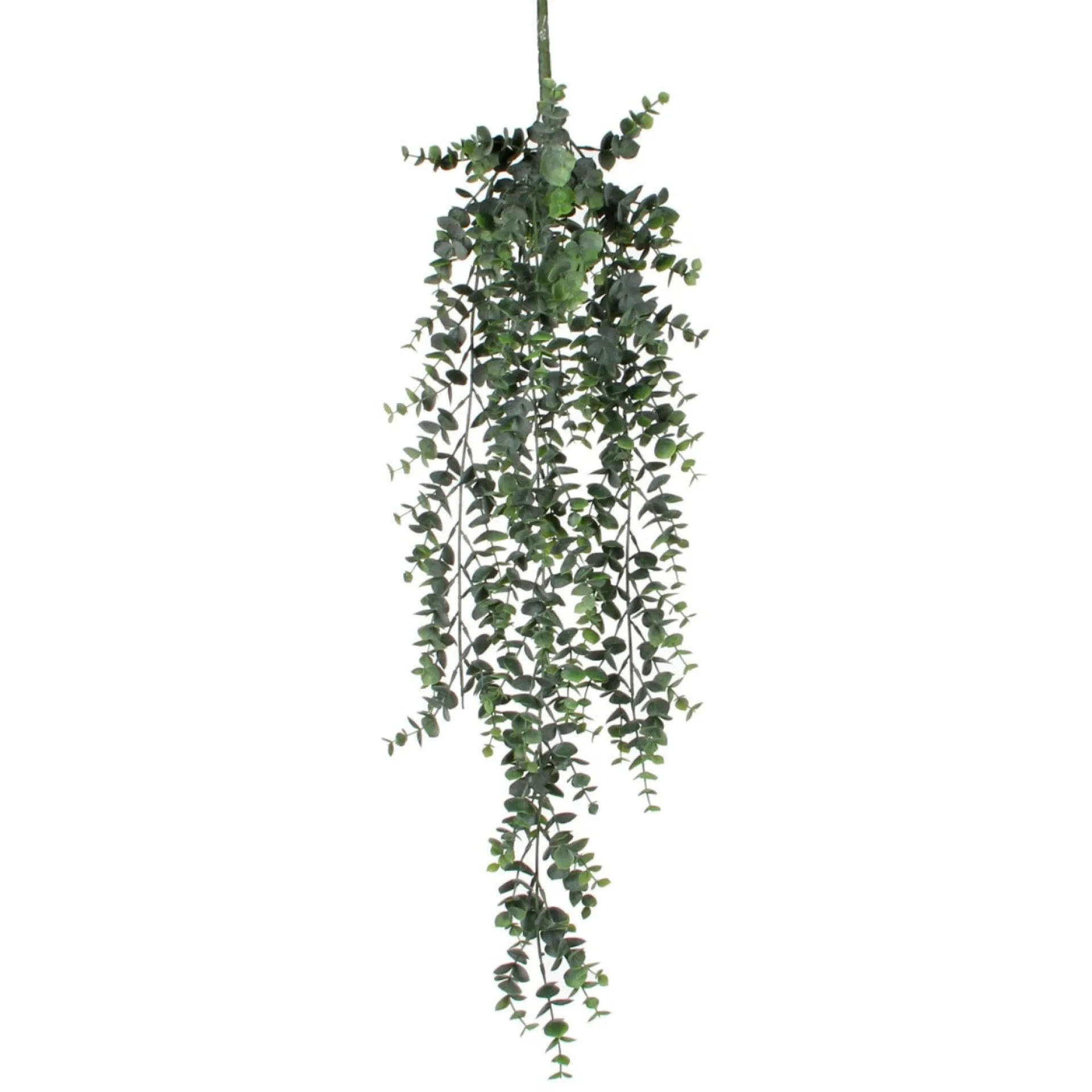 tak-hangend-eucalyptus-78-x-22-mSYMCinU-0.webp Online Mica Decorations Tak Hangend Eucalyptus 78 X 22 Cm