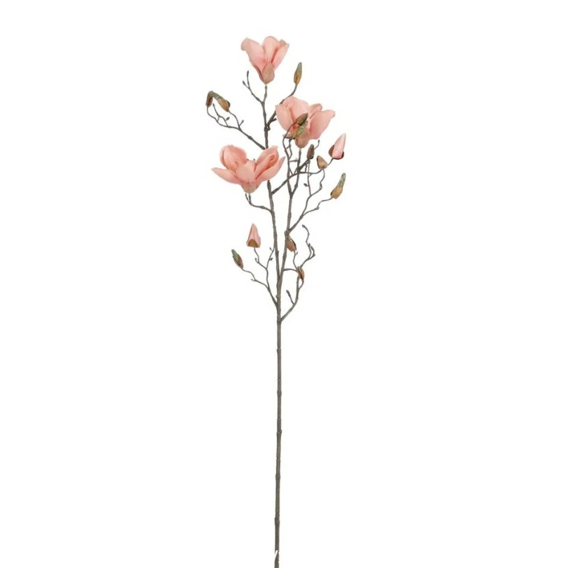 tak-magnolia-perzik-88-cm-RGjtMAeQ-0.webp Sale Mica Decorations Tak Magnolia Perzik 88 Cm