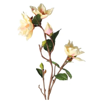 Best O'malley Tak Yulan 103 Cm Beige