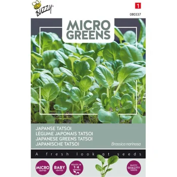 Outlet Buzzy Tatsoi Microgreens Zaden