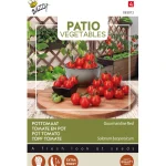 Hot Buzzy Tomaat Gourmandise Red