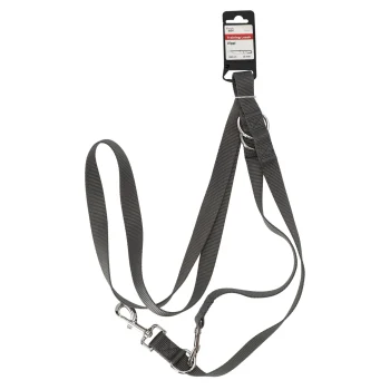 Fashion Friendly Pet Trainingslijn Ziggi Donkergrijs 20mm 200cm FP