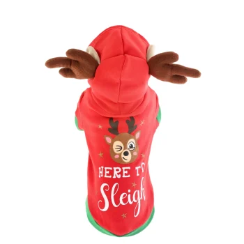 Fashion Friendly Pet Trui Hond Kerst Rendier 20 Cm