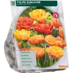 Discount Baltus Tulipa Dubbel Laat Sunlover Per 12
