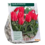 Sale Baltus Tulipa Roodkapje Greigii Per 15