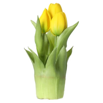 Hot Tulp Bosje Geel 20 Cm