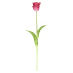 Fashion Tulp Papegaai Real Touch 62 Cm Fuchsia