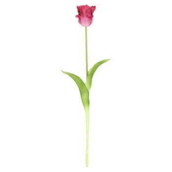 Fashion Tulp Papegaai Real Touch 62 Cm Fuchsia
