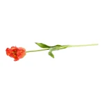 tulp-papegaai-real-touch-62-cm-xhDanNod-0.webp