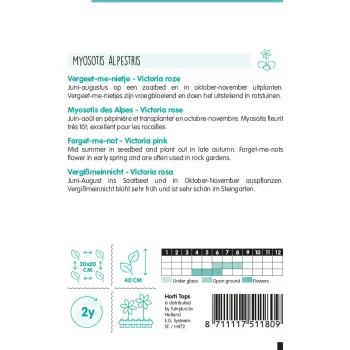 Online Horti Tops Vergeet-me-nietje Victoria Rose