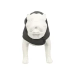 vest-hond-luna-grijs-20cm-yHdfIKxe-0.webp
