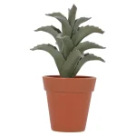 vetplant-in-pot-4-assorti-uwnPBroC-0.webp